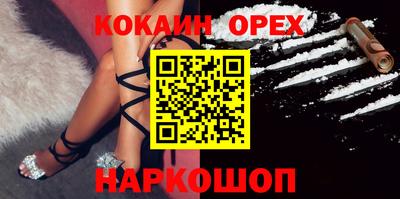 шишки Обь