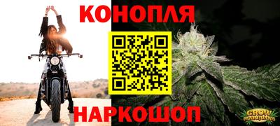 шишки Обь
