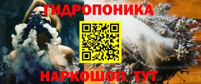 шишки Обь