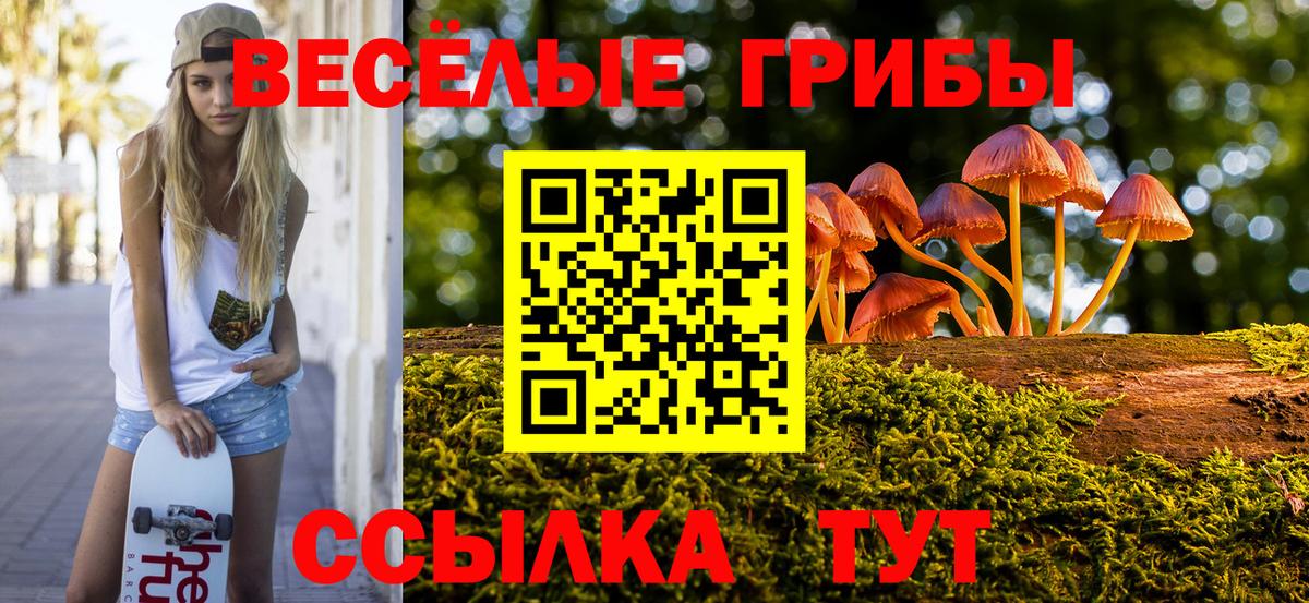 Серов  Галлюциногенные грибы GOLDEN TEACHER  купить   Вход с VPN 