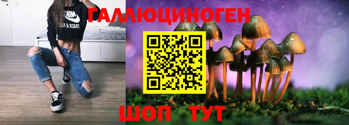 Галлюциногенные грибы Psilocybine cubensis Серов